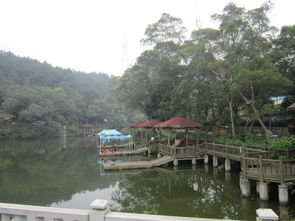 厦门森林公园旅游攻略