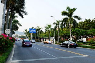 厦门汇文路旅游攻略