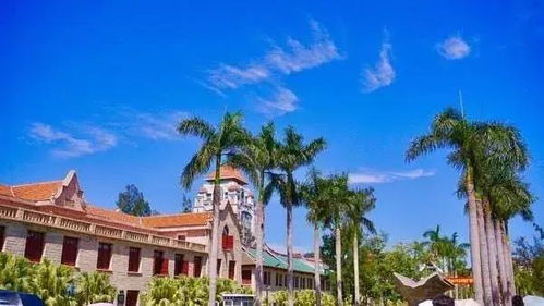 带弟弟去厦门旅游攻略