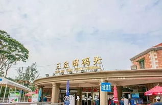 萍乡去厦门旅游攻略省钱