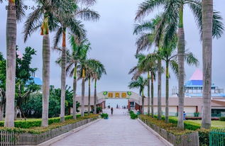 厦门集美学院旅游攻略