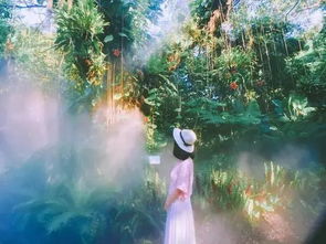 厦门旅游2天游攻略