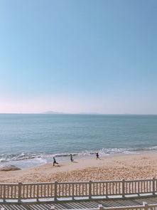 海边的旅游攻略 去厦门