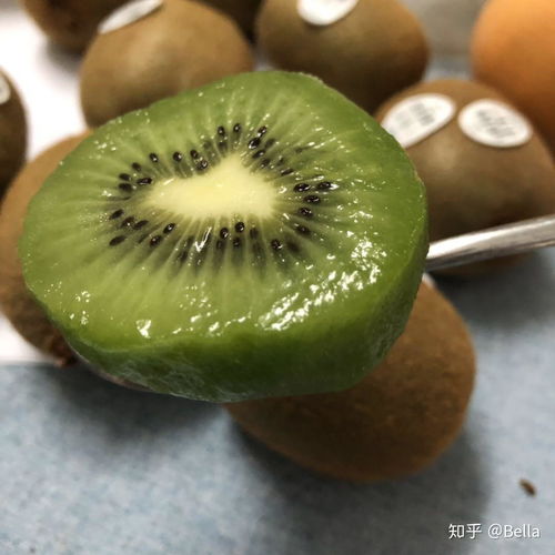 福州湖田特产有哪些水果