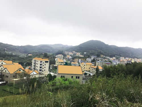 厦门同安乡村旅游攻略