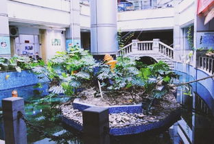 厦门明发广场旅游攻略