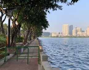 山海湾公园厦门攻略旅游