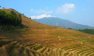 龙脊梯田旅游攻略厦门
