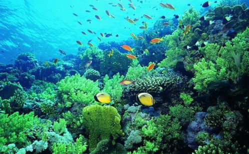 厦门水族馆旅游攻略