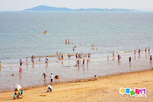 开车旅游厦门攻略图片