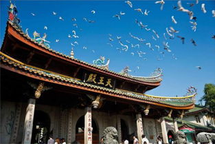 厦门焚天寺旅游攻略