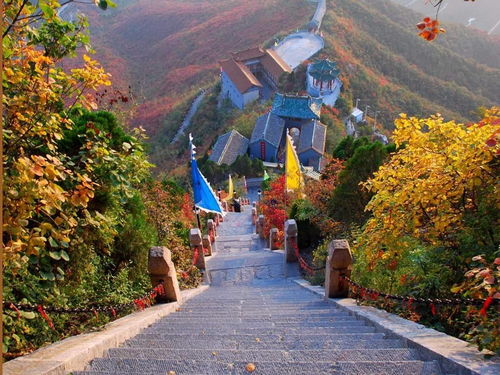 岳西旅游攻略厦门好玩不