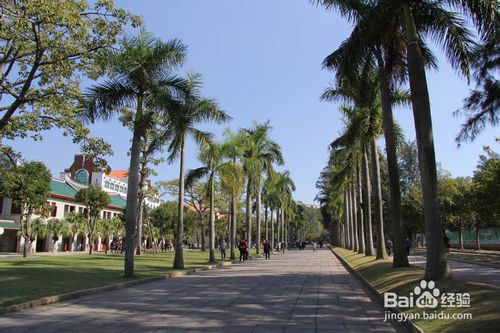 厦门大学旅游攻略导游