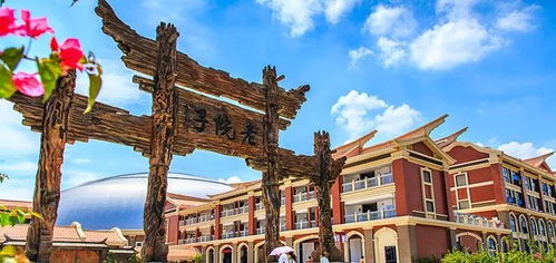 曹县旅游攻略厦门探店