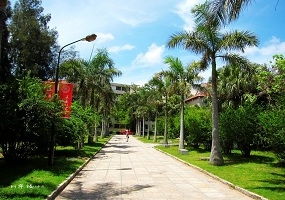 新乡旅游攻略厦门好玩的