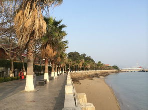 厦门漳州五日旅游攻略