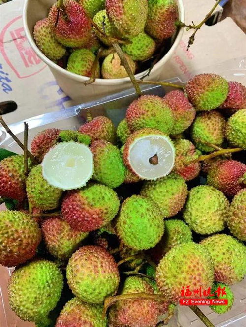 福州荔枝特产有哪些品种