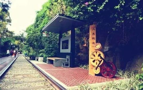 厦门后田村旅游攻略