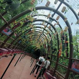 厦门旅游攻略水乐园路线