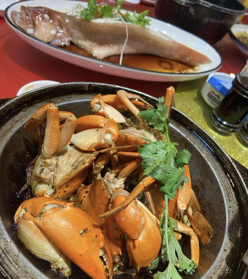 吃拉萨旅游攻略厦门美食