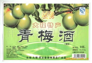 福州特产青梅果是什么
