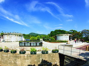 厦门旅游超经典菜攻略