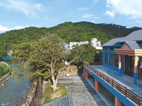 崇左旅游攻略厦门民宿