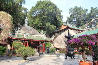 普陀寺厦门旅游攻略亲子
