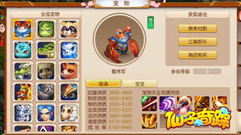 宠物游戏手游攻略