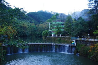 南雄旅游攻略厦门好玩的
