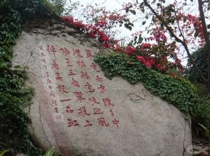 梅海岭到厦门旅游攻略