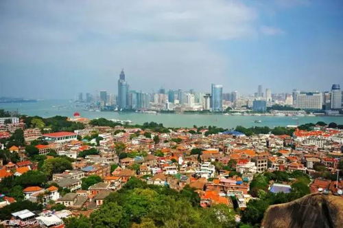 厦门曾安镇旅游攻略