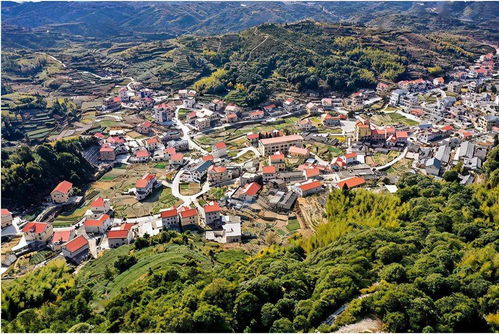 厦门乡村旅游攻略图高清