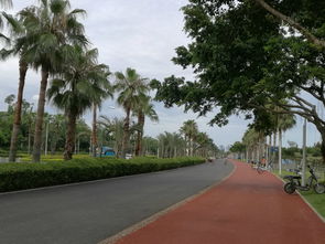 厦门环岛西路旅游攻略