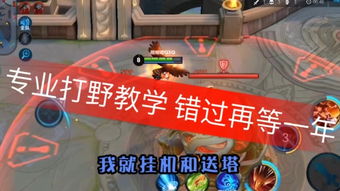 中央直播游戏有哪些