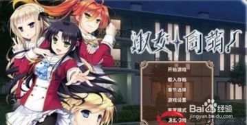 淑女攻略游戏
