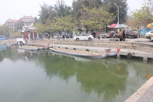 厦门龙舟赛旅游攻略