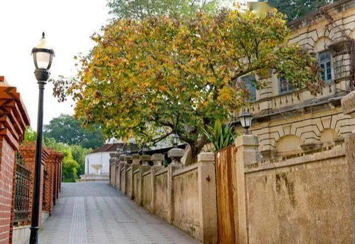厦门秋景旅游攻略图片