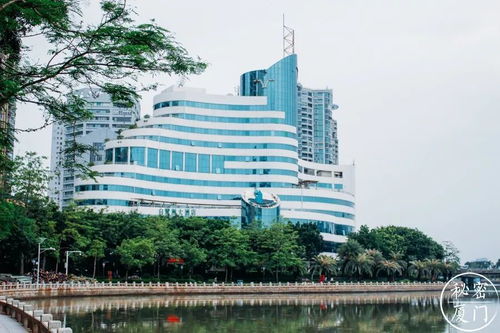 厦门不踩雷旅游攻略
