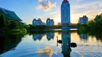 厦门大学旅游攻略2