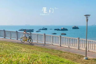厦门旅游攻略自由行看海