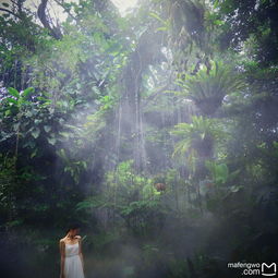 厦门热带雨林旅游攻略
