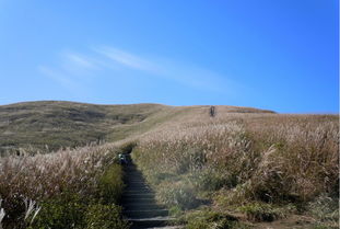 厦门武功山长沙旅游攻略