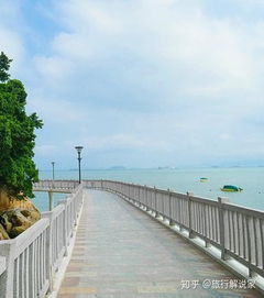 厦门寻找驴友旅游攻略