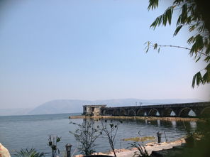 新疆到厦门云南旅游攻略