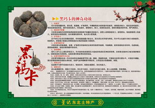 福州土特产海报设计公司