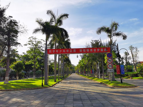 七夕游玩攻略厦门旅游