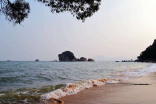 海滨公园厦门旅游攻略图
