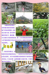 盘锦飞厦门旅游攻略图文