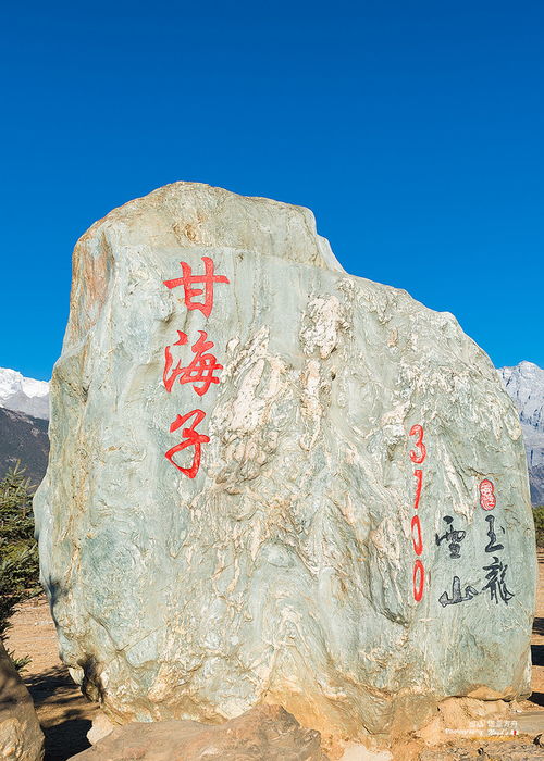 甘海子攻略游戏